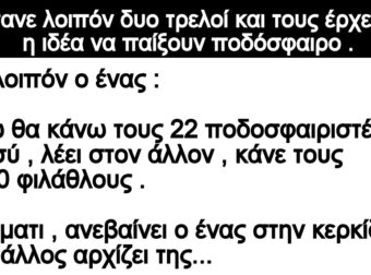 Ανέκδοτο: Ήτανε λοιπόν δυο τρελοί και τους έρχεται η ιδέα να παίξουν ποδόσφαιρο