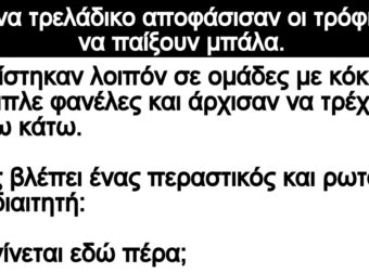 Ανέκδοτο: Σε ένα τρελάδικο αποφάσισαν οι τρόφιμοι να παίξουν μπάλα