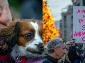 Μεγάλη πορεία διαμαρτυρίας στο Σύνταγμα για την κτηνωδία της Αράχωβας: Χιλιάδες πολίτες στους δρόμους – «Να συλληφθούν οι δράστες που κακοποίησαν το χάσκι» (photos)