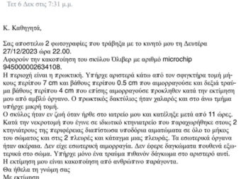 Όλα τούμπα με την υπόθεση του χάσκι στην Αράχωβα: Κτηνίατρος αποκάλυψε αυτό που όλοι φοβούνται να πουν