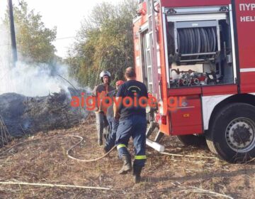 Μεγάλη φωτιά ΤΩΡΑ κοντά στα σπίτια – Συναγερμός στους κατοίκους – Ήχησε το 112