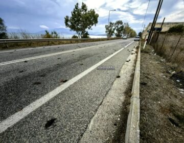 EKTAKTO: Σε συναγερμό πασίγνωστη μεγάλη πόλη της Ελλάδας – “Βρέχει” νεκρά πουλιά, απόκοσμες εικόνες και σκηνές αποκάλυψης